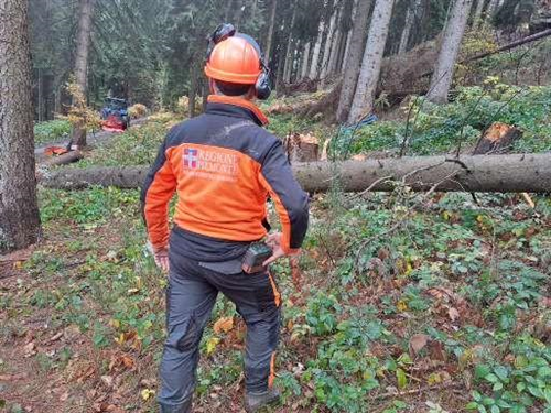 Bando di selezione per addetti operai forestali